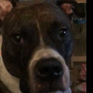 Meet your Posher, Jody